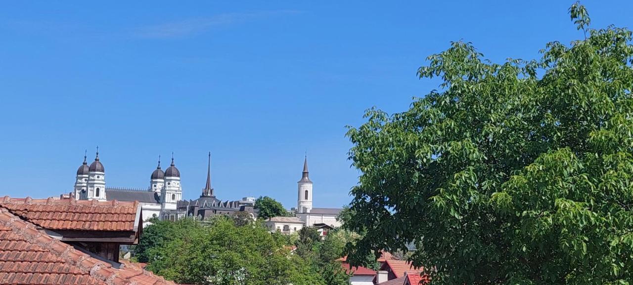Central Palace Iasi Apart 2 מראה חיצוני תמונה
